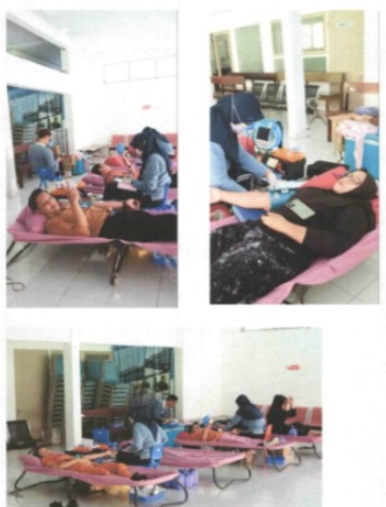 Donor Darah Pitulungan