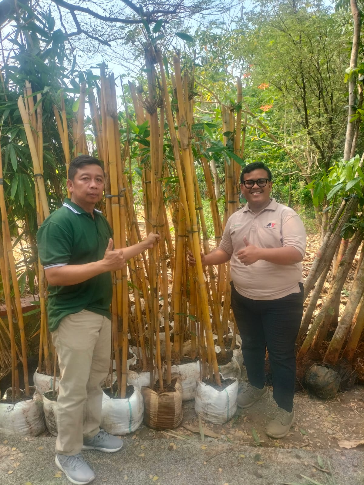 Penyerahan Bibit Tanaman